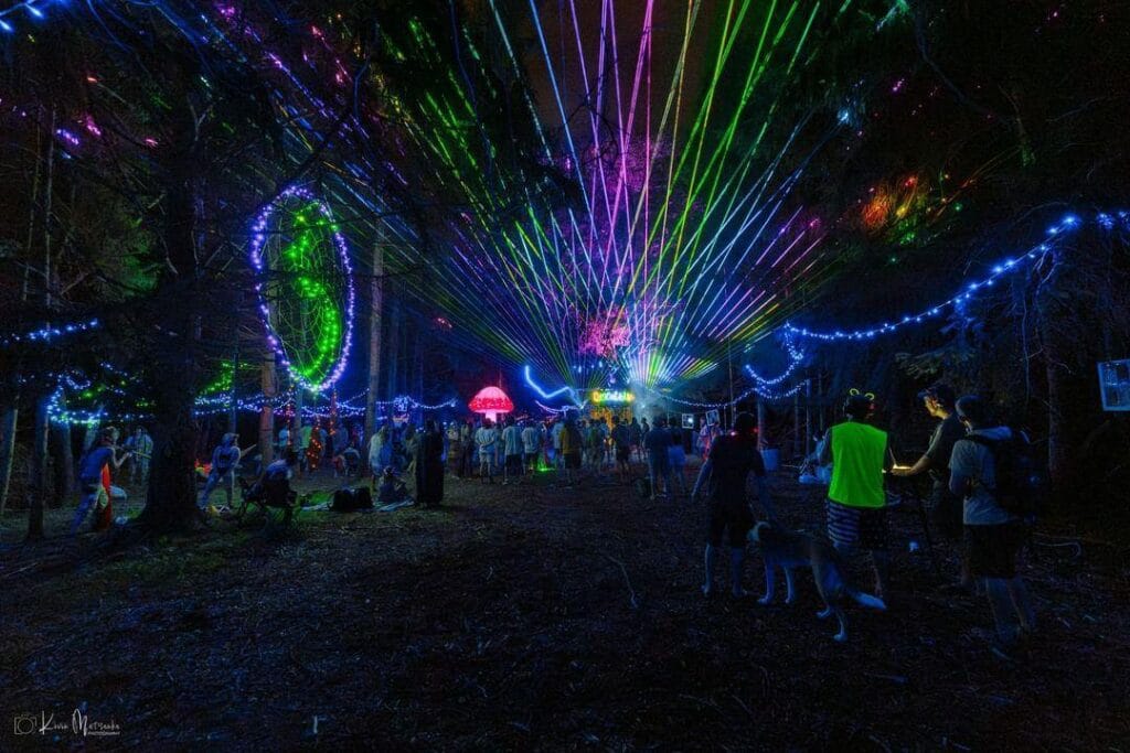 FOTF Woods - Credit Kevin Matsanka (1)